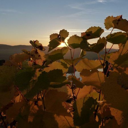 Appartamento MainErlebnis Karlstadt Esterno foto